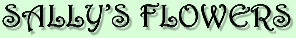 Sallys Flowers Logo